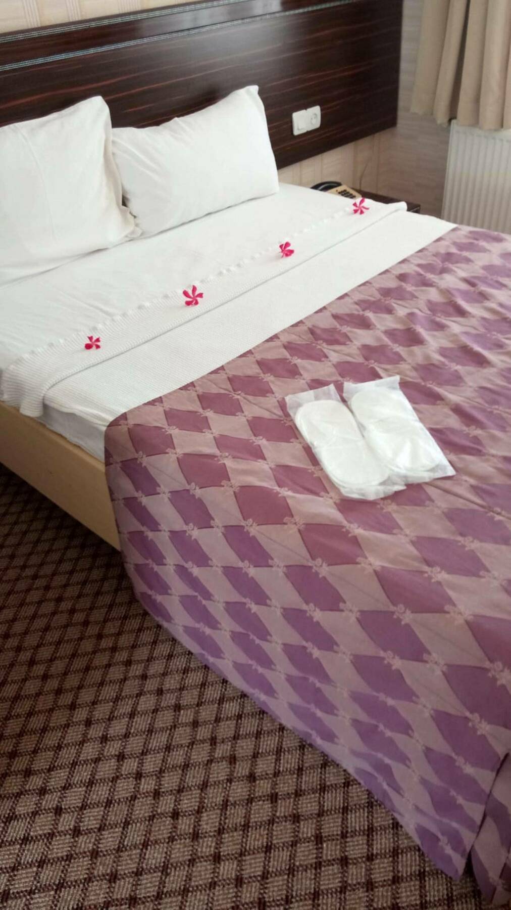 Etap Altinel Hotel チャナッカレ エクステリア 写真